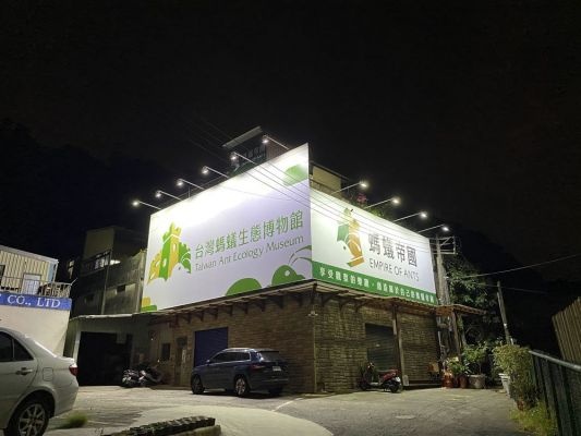 螞蟻帝國Empire of ants 螞蟻飼養專賣店