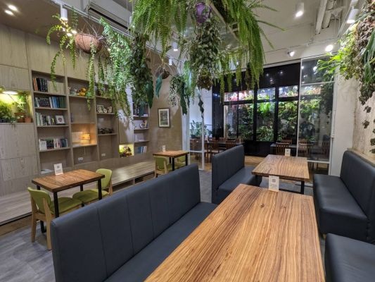 Vittaria Café 書帶蕨