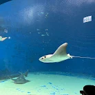 xpark 水族館